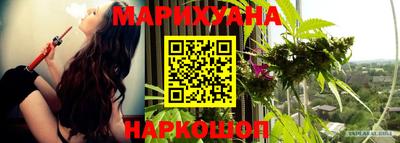 гашик Нальчик