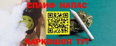 гашик Нальчик