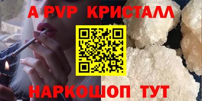гашик Нальчик