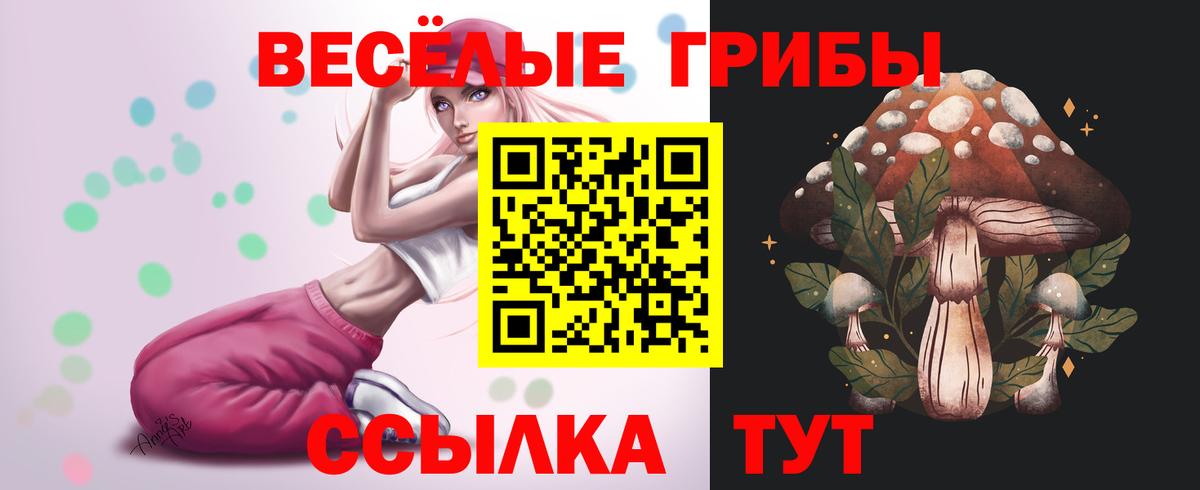 Электрогорск  Псилоцибиновые грибы Magic Shrooms  Вход с VPN 